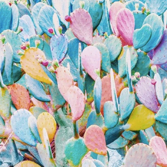 WELCOME TO MY CLOSET & BOUTIQUE ! - Picture 1 of 1